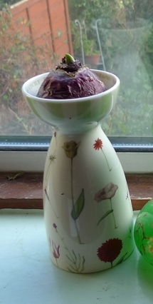Portmeirion Up the Garden Path hyacinth vase