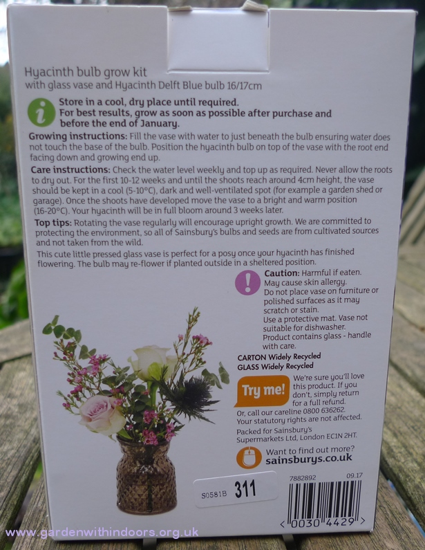 sainsburys hyacinth vase