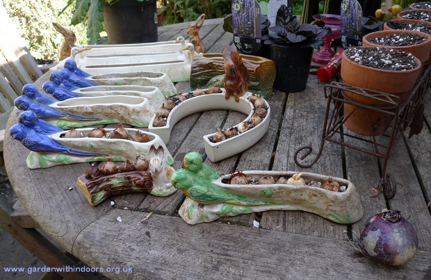 Shorter and Sons flower troughs with crocus bulbs