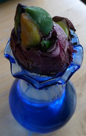 blue vase with hyacinth bulb