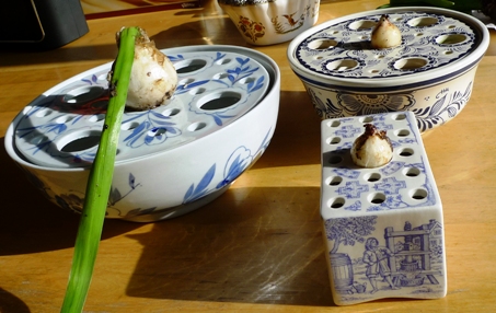 bulb bowls and flower bricks