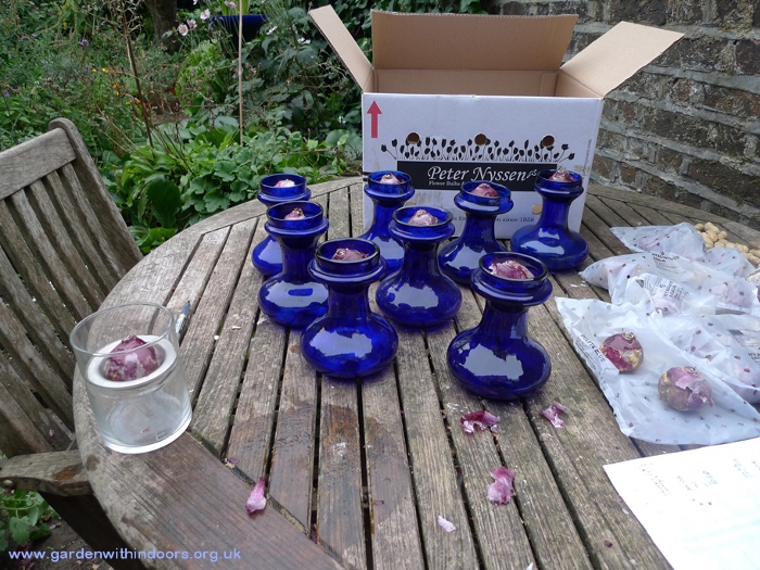 antique cobalt blue hyacinth vases