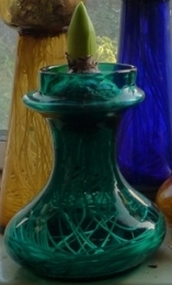 squat teal hyacinth vase
