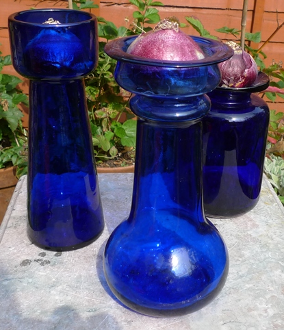 hyacinth vases