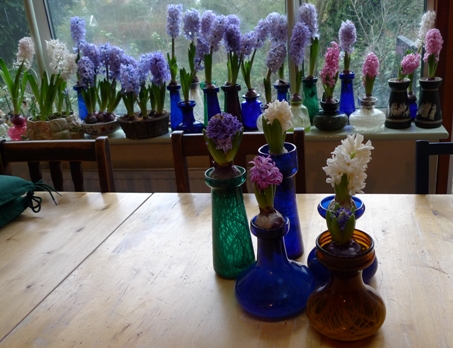 deformed vs well-formed flowers