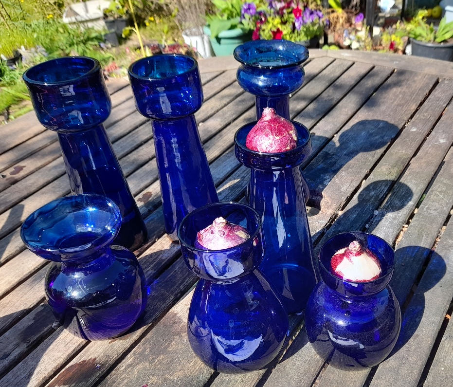 cobalt blue hyacinth vases