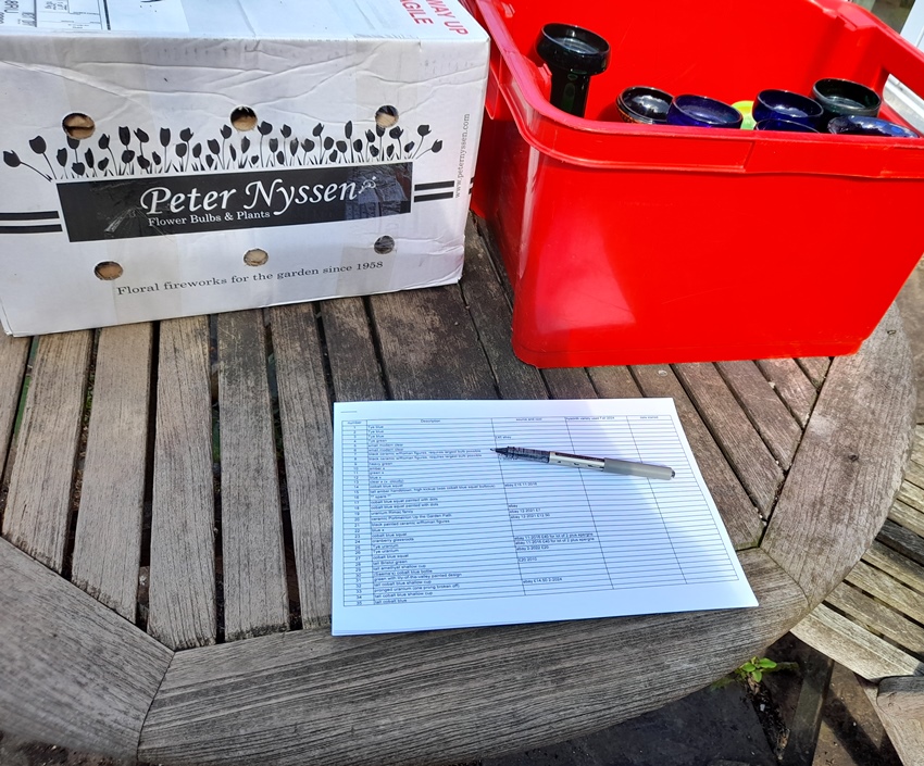 forcing hyacinth bulbs