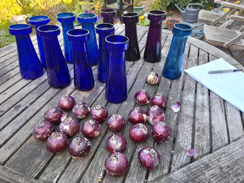 hyacinth vases cobalt blue 19th century