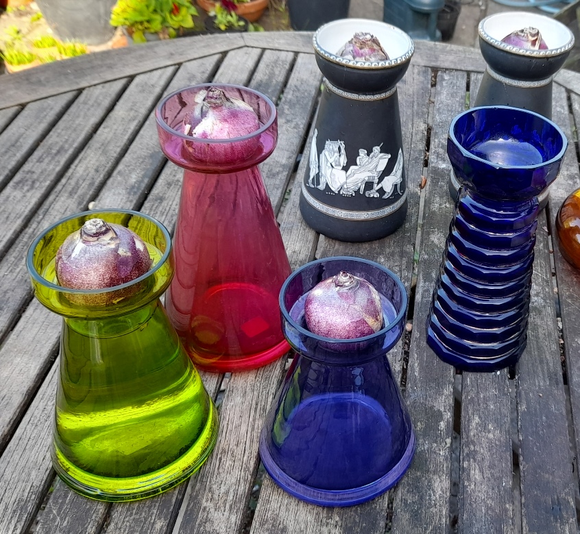 margaret howell glassroots hyacinth vases