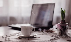 hyacinth indoors Telegraph