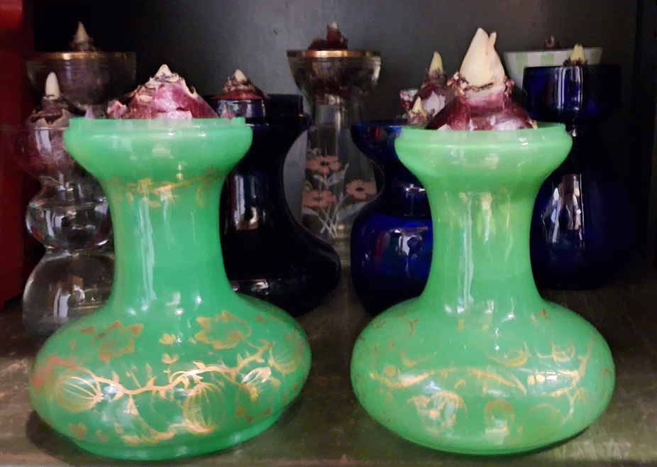 tye uranium hyacinth vases