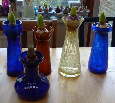 hyacinth vases