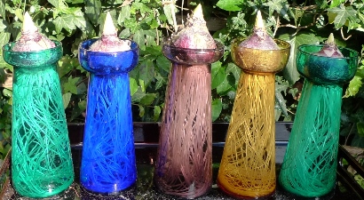 hyacinth not ready to come into the light