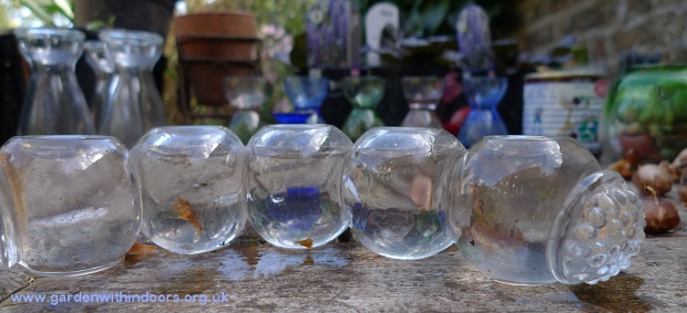 joined ball posy water level