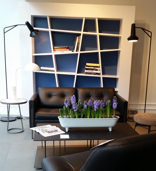 Ligne Roset forced hyacinths