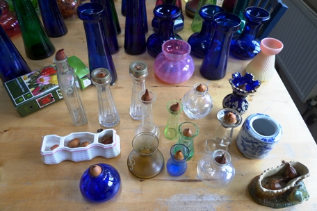 miniature tulip bulbs and vases