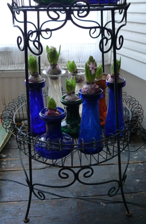 Victorian plant stand with hyacinth vases