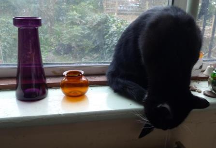 hyacinth vase and leech pot