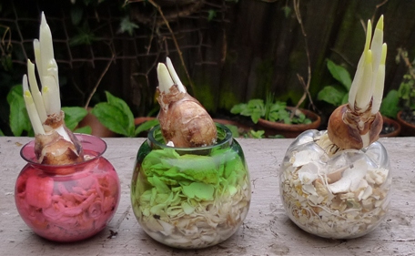 rose bowls with bulbs