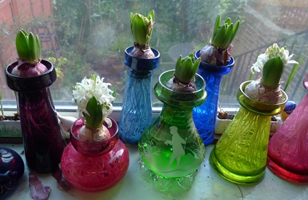hyacinth vases