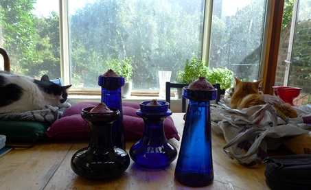 hyacinth bulbs in hyacinth vases