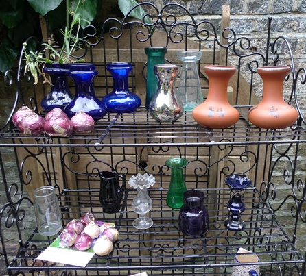 hyacinth vases and bulbs
