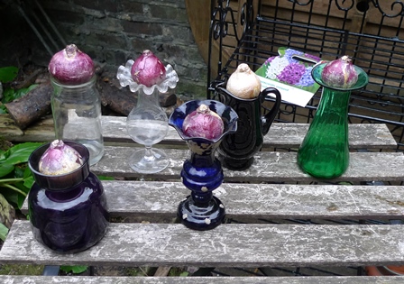 hyacinth unofficial vases