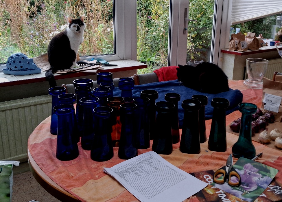 hyacinth forcing antique hyacinth vases