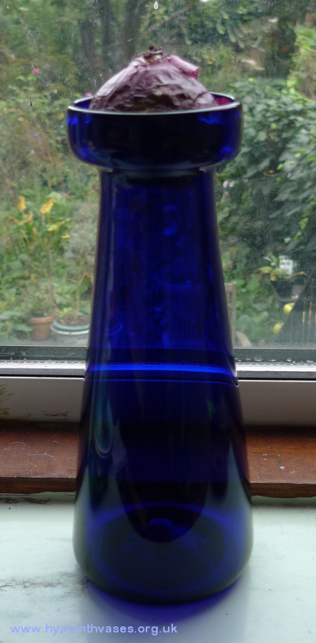 tall cobalt blue hyacinth vases