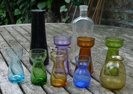 tulip and crocus vases