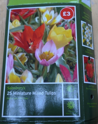 tulip box