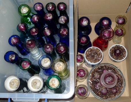 hyacinth vases in cellar