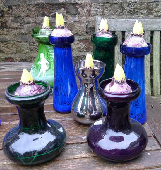 hyacinth vases